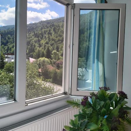 Apartment Valea Azugii Azuga Zewnętrze zdjęcie