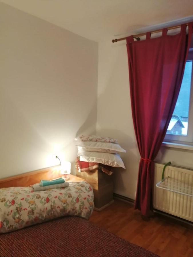 Apartment Valea Azugii Azuga Zewnętrze zdjęcie