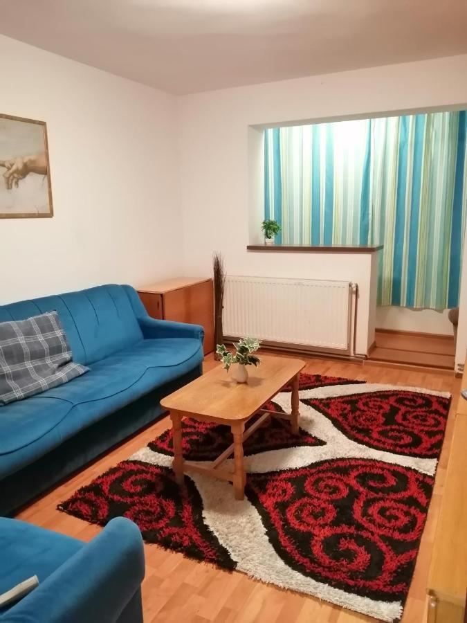Apartment Valea Azugii Azuga Zewnętrze zdjęcie