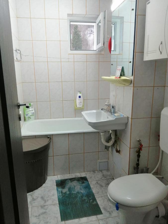 Apartment Valea Azugii Azuga Zewnętrze zdjęcie