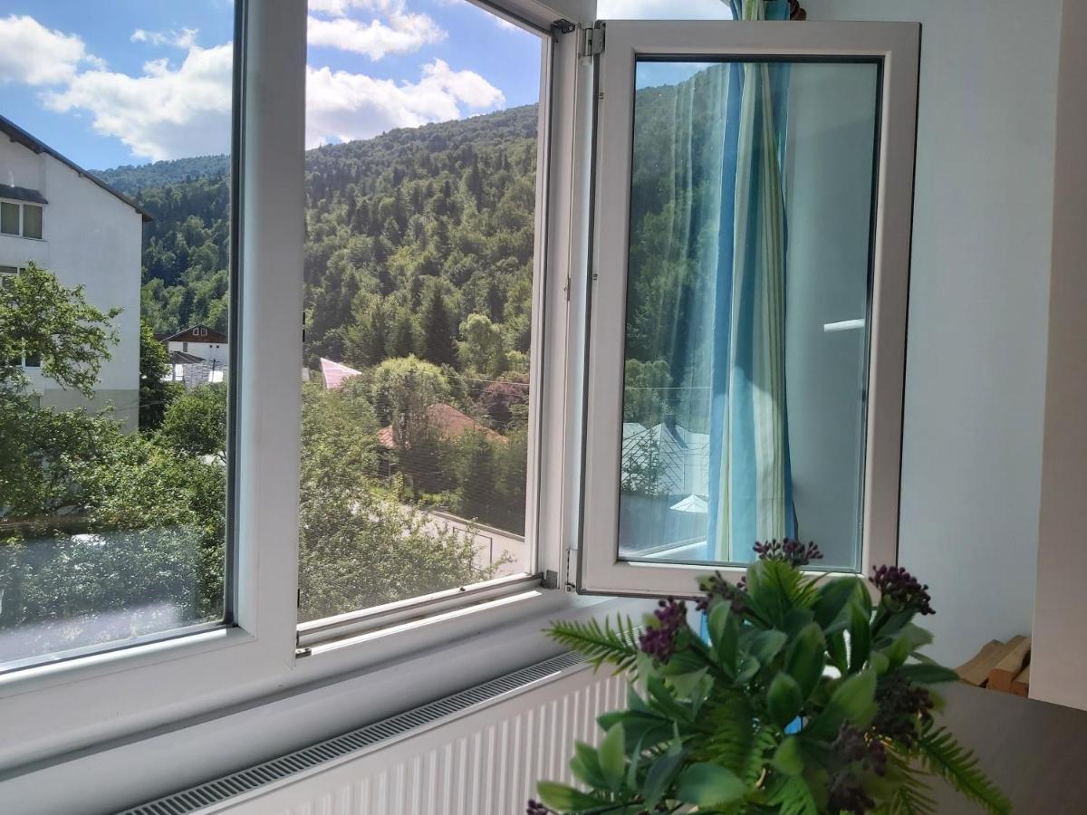 Apartment Valea Azugii Azuga Zewnętrze zdjęcie