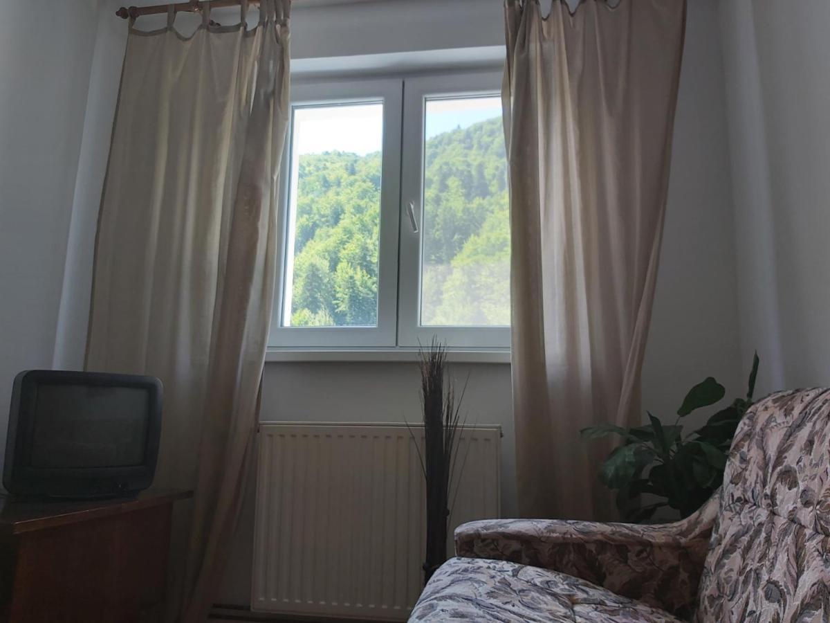 Apartment Valea Azugii Azuga Zewnętrze zdjęcie