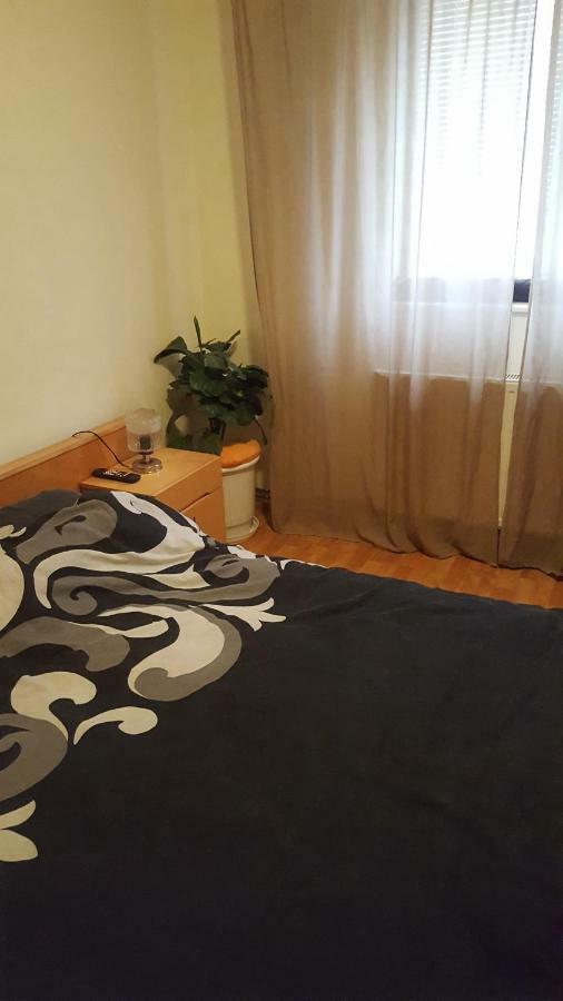 Apartment Valea Azugii Azuga Zewnętrze zdjęcie